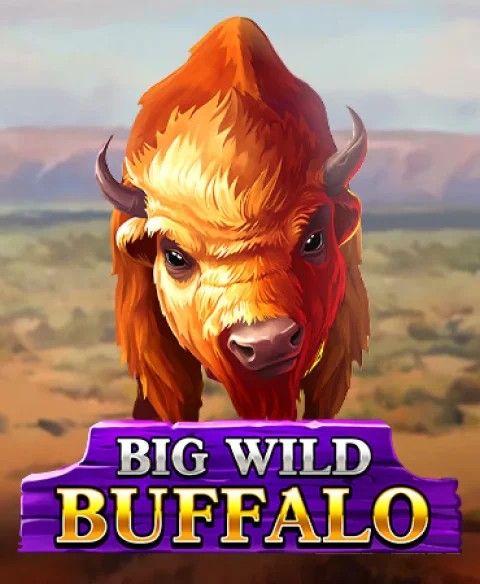Play Big Wild Buffalo at Fortune Fiesta Casino